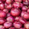 Mumbai Onion Price Hike : मुंबईत कांद्याचा भडका! कांद्याच्या दरवाढीमुळे गृहिणींचे गणित बिघडले; केंद्र सरकारचा मोठा निर्णय
