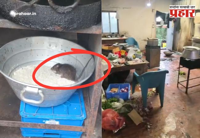 Nalasopara Viral Video : नालासोपाऱ्यात हॉटेलच्या भातावर उंदरांचा हैदोस; ग्राहकांच्या जीवाशी खेळणाऱ्या हॉटेलवर कठोर कारवाईची मागणी