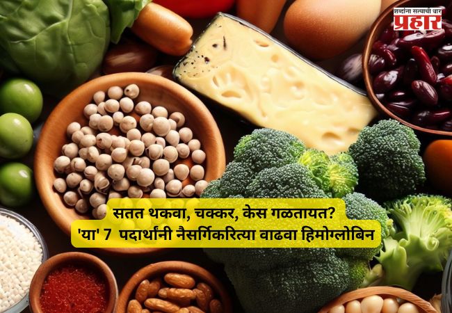 Hemoglobin Foods : शरीरात रक्ताची तीव्र कमतरता? औषधं-गोळ्या विसरा! ‘हे’ ७ पदार्थ नैसर्गिकरित्या वाढवतील हिमोग्लोबिनचा स्तर