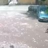Pimpri-Chinchwad News : बापरे! खेळता खेळता अचानक कुत्र्यांच्या टोळक्याने घेरलं अन् चिमुकलीवर भीषण हल्ला