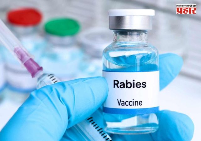 Rabies Injections : मुंबईत यापुढे एकही रुग्ण रेबीज इंजेक्शन नसल्याने परत जाणार नाही