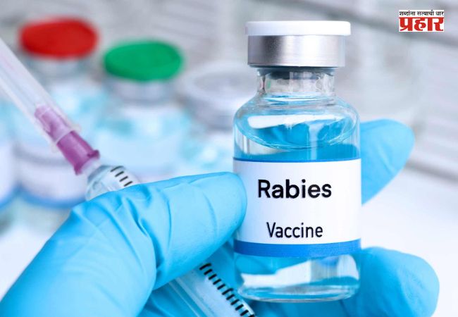Rabies Injections : मुंबईत यापुढे एकही रुग्ण रेबीज इंजेक्शन नसल्याने परत जाणार नाही