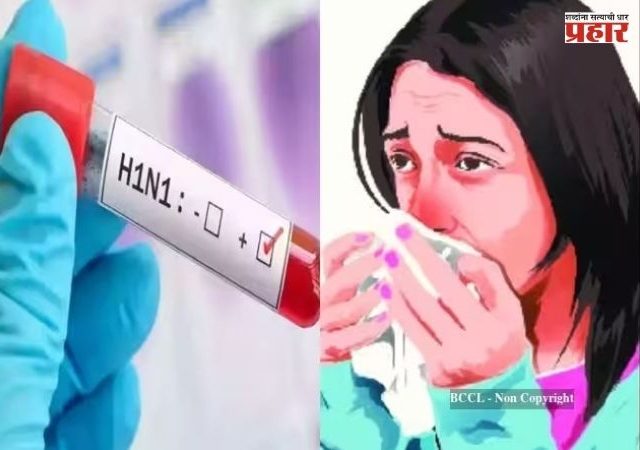 Swine Flu : महाराष्ट्रासह दिल्ली, कर्नाटकात 'स्वाईन फ्लू'च्या रुग्णांच्या संख्येत वाढ