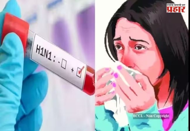 Swine Flu : महाराष्ट्रासह दिल्ली, कर्नाटकात ‘स्वाईन फ्लू’च्या रुग्णांच्या संख्येत वाढ