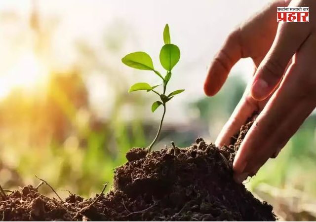 Tree Adoption Scheme : मुंबईत राबवली जाणार वृक्ष दत्तक योजना; महापालिका सभागृहात ठराव मंजूर