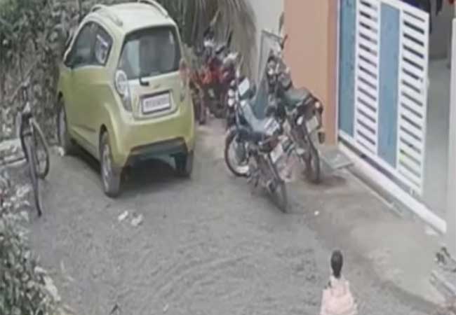 Dog Attack : दोन वर्षांच्या चिमुकलीवर भटक्या कुत्र्याचा जीवघेणा हल्ला