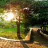 BMC Parks Photography : महापालिकेची उद्याने आता छायाचित्रणाच्या दृष्टीकोनातून विकसित; महापालिका सभागृहात ठराव मंजूर