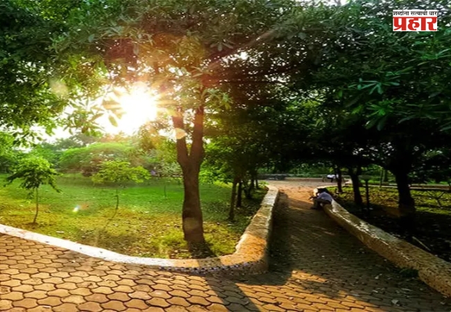 BMC Parks Photography : महापालिकेची उद्याने आता छायाचित्रणाच्या दृष्टीकोनातून विकसित; महापालिका सभागृहात ठराव मंजूर