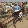 donkey derby : कराचीत रंगली गाढवांची शर्यत
