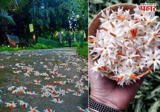 संस्कार समर्पणाचा