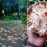 संस्कार समर्पणाचा