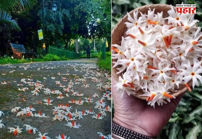 संस्कार समर्पणाचा