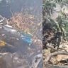 Kenya Helicopter Crash : केन्यामध्ये सफारीसाठी निघालेल्या हेलिकॉप्टरचा भीषण अपघात; 5 अमेरिकन पर्यटकांसह सर्व 7 जणांचा मृत्यू