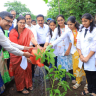 Nashik : दर रविवारी पाच हजार वृक्ष लागवडीचे उद्दिष्ट; प्रत्येकाने पर्यावरण संरक्षणाची जबाबदारी स्वीकारावी - मंत्री गिरीश महाजन