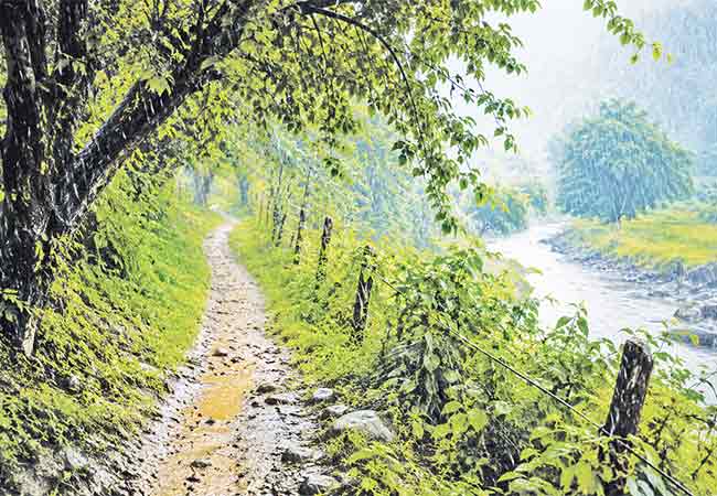 वाटांशी जडले नाते…