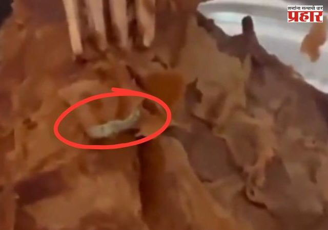 Pune Viarl Video : बाईई... काय हा घाणेरडा प्रकार! महागड्या बेकरीमधून पेस्ट्री मागवली अन् निघाली.....