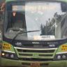 Pune Accident : क्षणार्धात होत्याचं नव्हतं झालं! पुण्यात बसमधून खाली पडल्याने तरुणीचा दुर्दैवी अंत; 'त्या' एका चुकीमुळे गेला जीव?