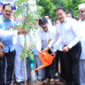 Nashik : ‘उन्नत नाशिक’ अभियानांतर्गत एकलहरे येथे वृक्षारोपण ! वृक्षलागवडीसोबत वृक्षसंवर्धनही काळाची गरज - मंत्री गिरीश महाजन
