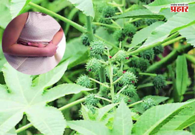 Chhatrapati Sambhajinagar News : गणपतीच्या आरतीनंतर प्रसाद म्हणून एरंडाच्या बिया खाल्ल्या, अन् भयानक घडलं; १३ मुलांना…