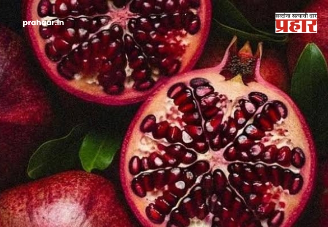 Dattatray Bharne : भारतीय डाळिंबाला जागतिक बाजारपेठेत नवी ओळख मिळवण्यासाठी सर्वांनी एकत्र काम करावे : कृषीमंत्री दत्तात्रय भरणे