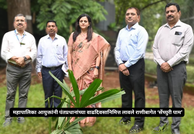 Municipal Commissioner plants ‘Century Palm’ at Rani Baug to mark the Prime Minister’s birthday