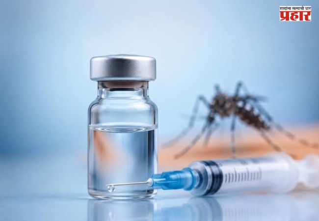India’s First Dengue Vaccine : डेंग्यूचा धोका होणार कमी? भारताची स्वदेशी ‘DengiAll’ लस २०२७ मध्ये येण्याची शक्यता