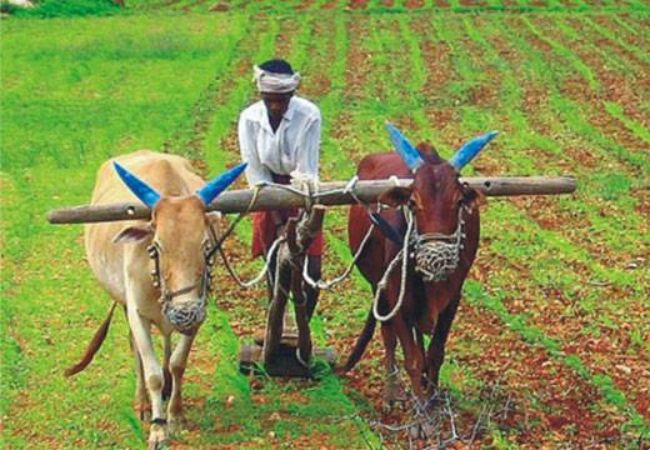 Maharashtra Government : कर्जमुक्ती योजनेतील पात्र शेतकऱ्यांसाठी ३ हजार कोटी