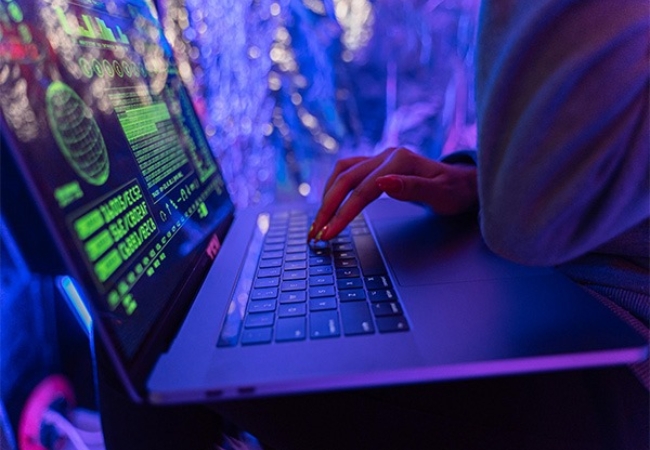 Online_Fraud