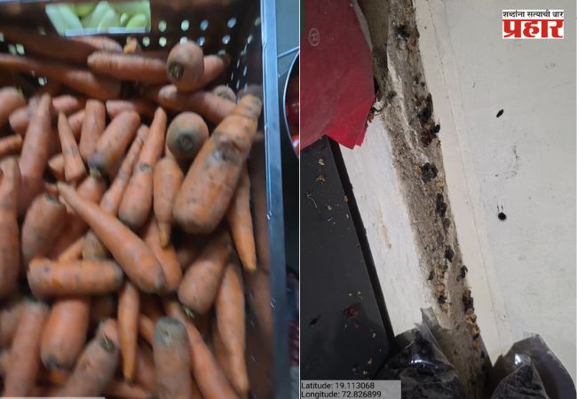 FDA Action : FDA चा मोठा दणका! IRCTC आणि इस्कॉनच्या फूड आउटलेट्सवर कारवाई; नेमका काय आहे प्रकरण?