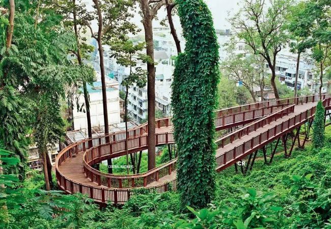 Malabar Hill Reservoir : मलबार हिल टेकडीवर नवीन जलाशय, पण ३०८ झाडे वाचवून
