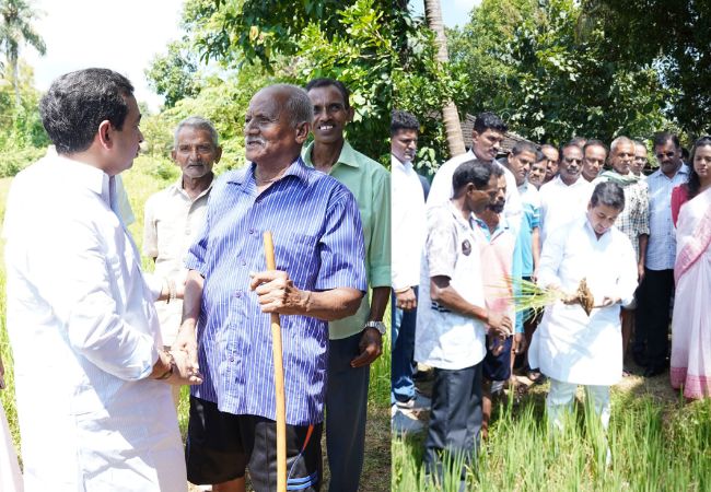 Sindhudurg Drought : सिंधुदुर्गात दुष्काळाची स्थिती गंभीर; शेतकऱ्यांना जास्तीत जास्त मदत मिळवून देणार- मंत्री नितेश राणे