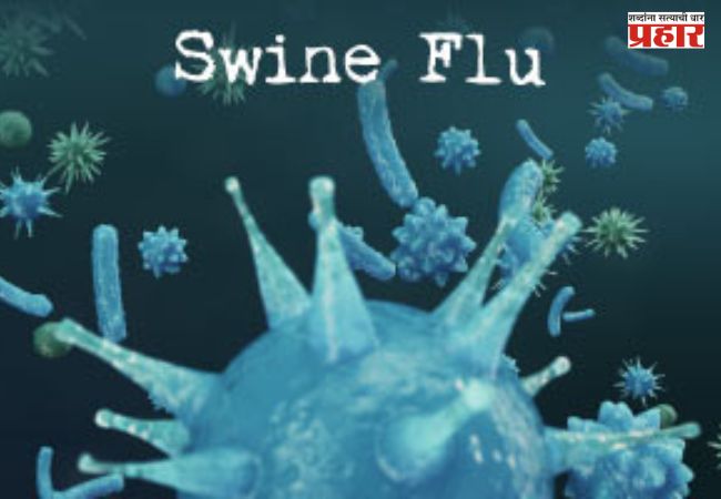 Swine Flu : पिंपरी-चिंचवडमध्ये स्वाईन फ्लूचा वाढता धोका; ऑगस्टमध्ये 31 रुग्ण, पालिकेचा सावधगिरीचा इशारा