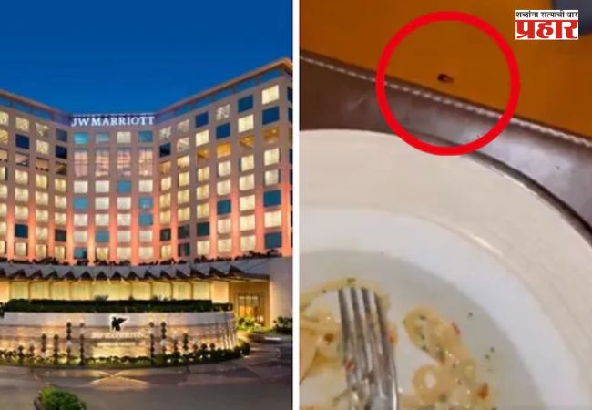 JW Marriott Mumbai : 5स्टार हॉटेलमधील किळसवाणा प्रकार! जेवताना टेबलावर आढळला झुरळ; डॉक्टरांनी शेअर केला व्हिडिओ