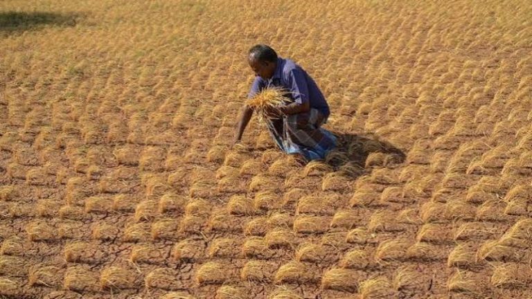 Stay on loan recovery : दुष्काळी भागातील शेतकऱ्यांच्या कर्जवसुलीला स्थगिती