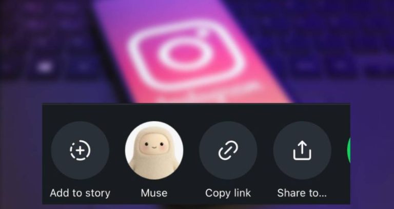 Instagram Feature
