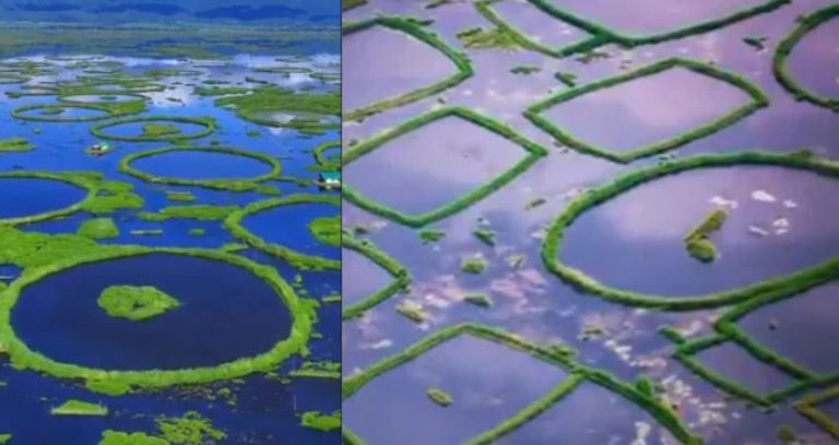 Loktak Lake Manipur : ‘लोकटक तलावा’च्या संवर्धनासाठी मणिपूर सरकारचा मोठा निर्णय, ‘लोकटक दिन’ आता राज्य महोत्सव