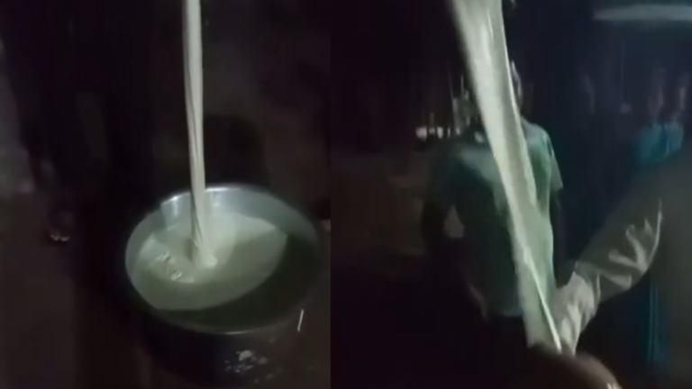 Nashik : मालेगावात कोजागिरीच्या दुधाला उकळी फुटताच घडला भयंकर प्रकार, दूध उकळल्यानंतर…