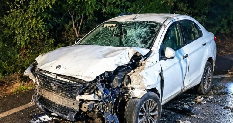 Nashik Accident News: भीषण अपघात! भरधाव कारची पोलिसांसह भाविकांना जोरदार धडक; पोलीस उपनिरीक्षकांचा जागीच मृत्यू