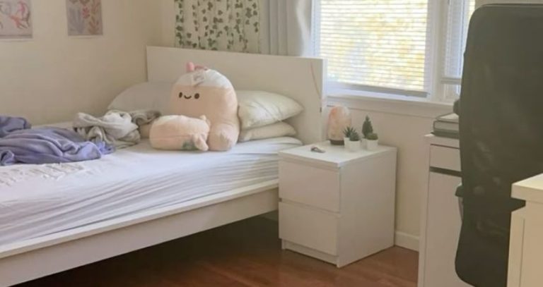Japanese Cleaning Habits : जपानी लोकांच्या स्वच्छतेच्या ‘या’ सवयी; घर राहील चकाचक आणि साफसफाईसाठी लागेल कमी वेळ!