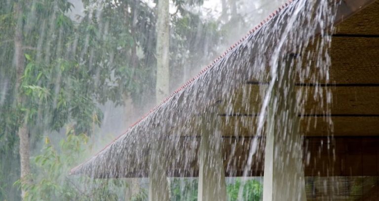 Maharashtra weather : महाराष्ट्रात अवकाळी पावसाचा अंदाज; कोकणासह पश्चिम महाराष्ट्रात पावसाची शक्यता, मुंबईत उकाडा वाढणार