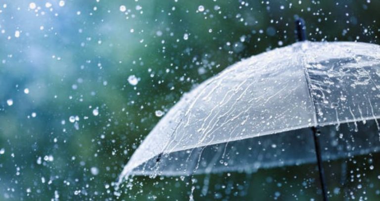 Maharashtra Weather : महाराष्ट्रात परतीचा पाऊस पुन्हा बरसणार? ‘या’ जिल्ह्यांना दिला अलर्ट; जाणून घ्या 6 ऑक्टोबरचे हवामान