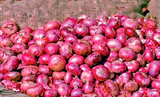 Onion Exoprt : केंद्र सरकारचा शेतकर्‍यांना दिलासा! अखेर कांद्यावरील निर्यातबंदी उठवली